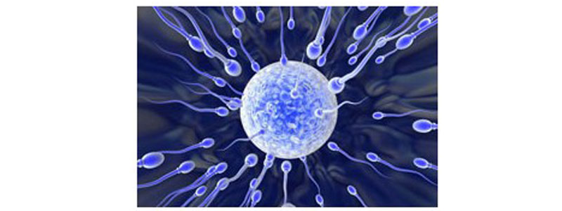 Causes de stérilité infertilité