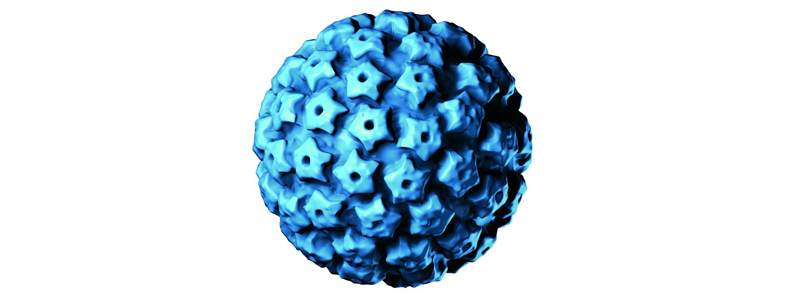 Virus HPV 2