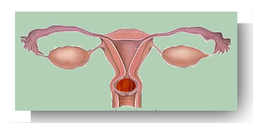 grossesse cervicale